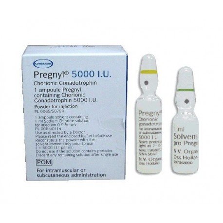 Buy Pregnyl Online