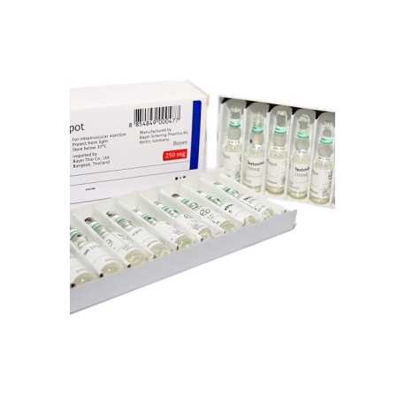 Buy Testoviron Depot Online